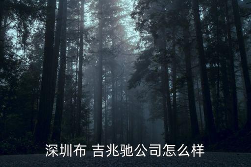 深圳布 吉兆馳公司怎么樣