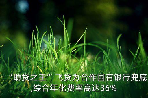 “助貸之王”飛貸為合作國有銀行兜底,綜合年化費率高達(dá)36%