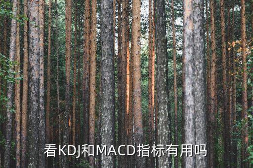 看KDJ和MACD指標(biāo)有用嗎