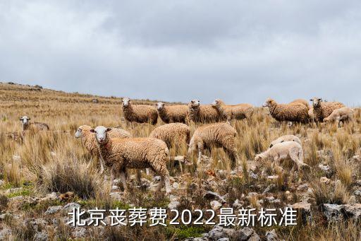  北京喪葬費2022最新標(biāo)準(zhǔn)