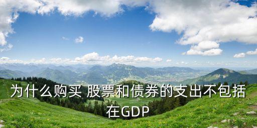 為什么購買 股票和債券的支出不包括在GDP