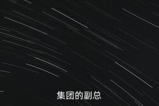 中集集團(tuán)的副總