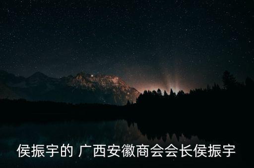 侯振宇的 廣西安徽商會(huì)會(huì)長(zhǎng)侯振宇