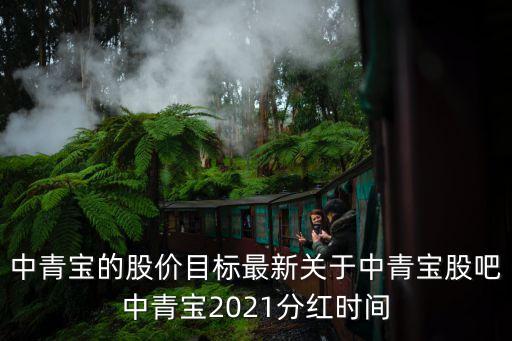 中青寶的股價目標(biāo)最新關(guān)于中青寶股吧中青寶2021分紅時間