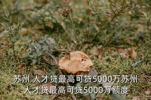 蘇州 人才貸最高可貸5000萬(wàn)蘇州 人才貸最高可貸5000萬(wàn)額度