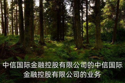 中信國際金融控股有限公司的中信國際金融控股有限公司的業(yè)務(wù)