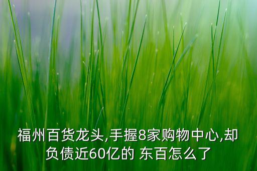 福州百貨龍頭,手握8家購物中心,卻負債近60億的 東百怎么了