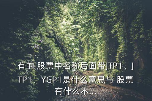 有的 股票中名稱后面帶JTP1、JTP1、YGP1是什么意思與 股票有什么不...