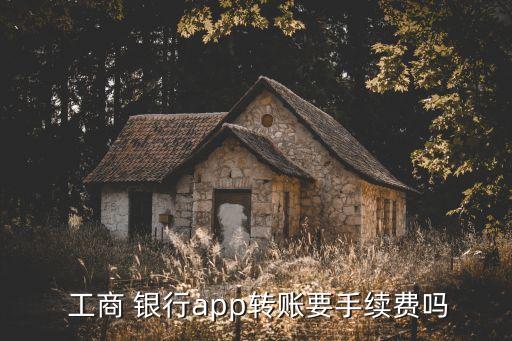  工商 銀行app轉(zhuǎn)賬要手續(xù)費嗎