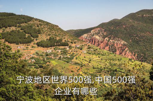 寧波地區(qū)世界500強(qiáng),中國(guó)500強(qiáng)企業(yè)有哪些