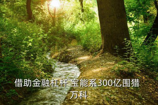 借助金融杠桿 寶能系300億圍獵 萬(wàn)科