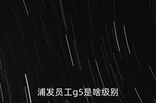 浦發(fā)員工g5是啥級別