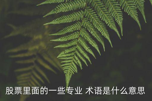 風險投資術(shù)語