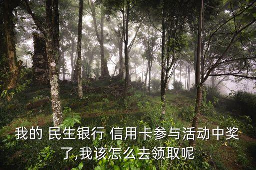 我的 民生銀行 信用卡參與活動中獎(jiǎng)了,我該怎么去領(lǐng)取呢