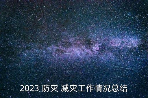 2023 防災(zāi) 減災(zāi)工作情況總結(jié)