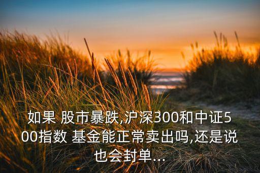 如果 股市暴跌,滬深300和中證500指數(shù) 基金能正常賣出嗎,還是說也會(huì)封單...