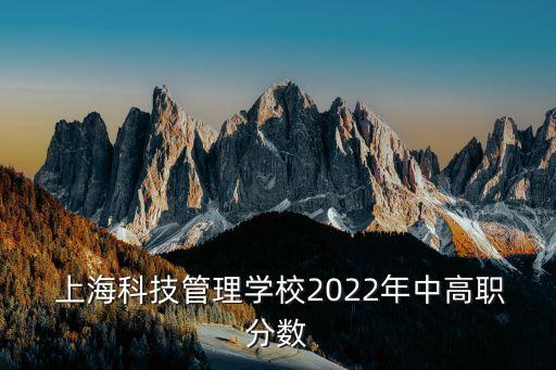  上?？萍脊芾韺W(xué)校2022年中高職分?jǐn)?shù)