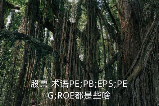 股票 術(shù)語PE;PB;EPS;PEG;ROE都是些啥