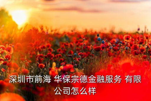 深圳市前海 華保宗德金融服務(wù) 有限公司怎么樣