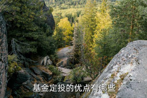 定投基金風(fēng)險大嗎