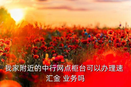 我家附近的中行網(wǎng)點(diǎn)柜臺(tái)可以辦理速 匯金 業(yè)務(wù)嗎