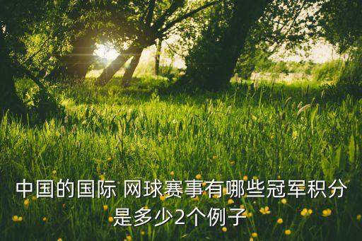 中國(guó)的國(guó)際 網(wǎng)球賽事有哪些冠軍積分是多少2個(gè)例子