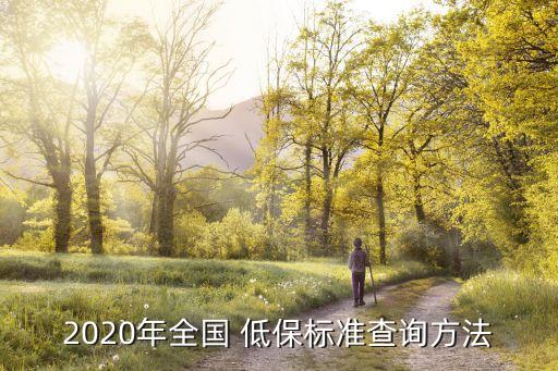 2020年全國(guó) 低保標(biāo)準(zhǔn)查詢(xún)方法