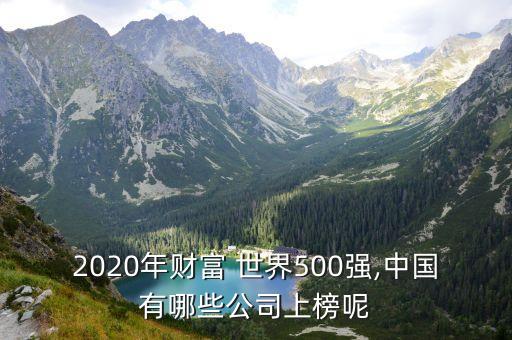 2020年財(cái)富 世界500強(qiáng),中國(guó)有哪些公司上榜呢