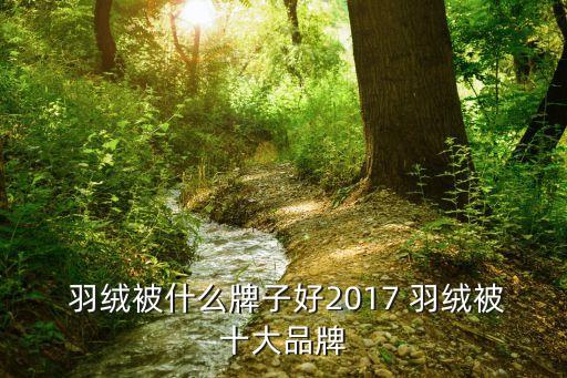  羽絨被什么牌子好2017 羽絨被十大品牌