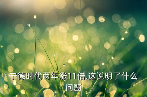 寧德時(shí)代兩年漲11倍,這說(shuō)明了什么問(wèn)題