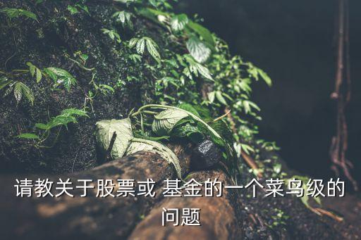 請(qǐng)教關(guān)于股票或 基金的一個(gè)菜鳥級(jí)的問題