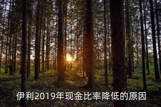  伊利2019年現(xiàn)金比率降低的原因