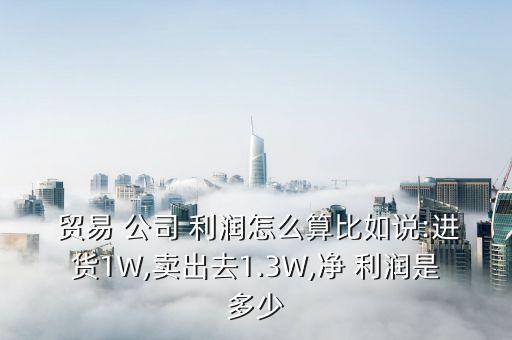  貿(mào)易 公司 利潤怎么算比如說:進貨1W,賣出去1.3W,凈 利潤是多少