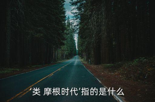 ‘類 摩根時(shí)代’指的是什么