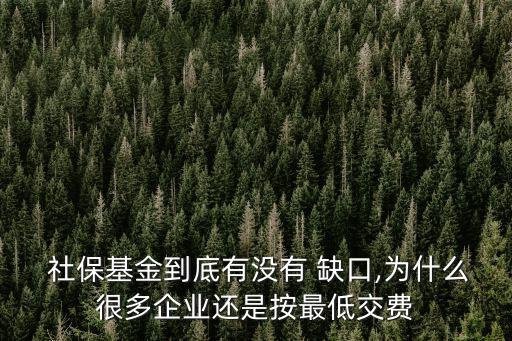  社?；鸬降子袥]有 缺口,為什么很多企業(yè)還是按最低交費(fèi)