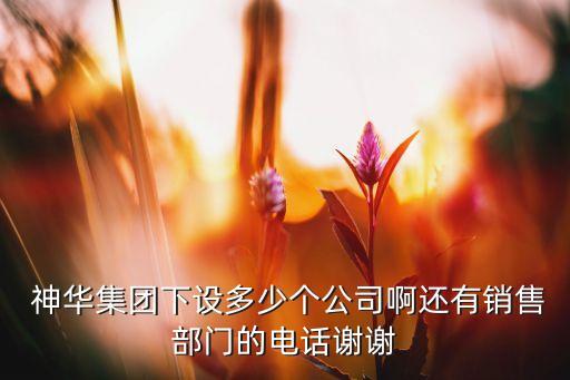  神華集團下設(shè)多少個公司啊還有銷售部門的電話謝謝