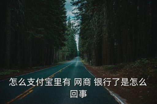 怎么支付寶里有 網(wǎng)商 銀行了是怎么回事