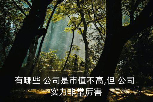 有哪些 公司是市值不高,但 公司 實力非常厲害