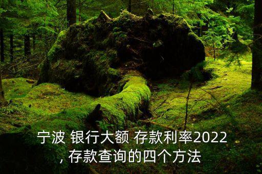  寧波 銀行大額 存款利率2022, 存款查詢的四個方法