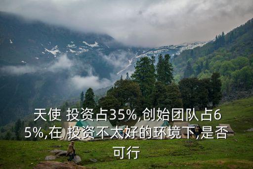  天使 投資占35%,創(chuàng)始團(tuán)隊(duì)占65%,在 投資不太好的環(huán)境下,是否可行