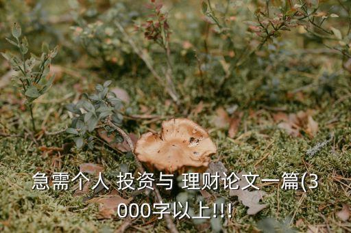 急需個人 投資與 理財論文一篇(3000字以上!!!