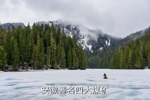 淮南礦業(yè)集團(tuán)股票代碼,加拿大明科礦業(yè)集團(tuán)股票代碼