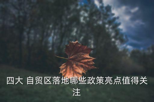 四大 自貿(mào)區(qū)落地哪些政策亮點值得關注