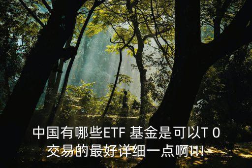 中國有哪些ETF 基金是可以T 0交易的最好詳細(xì)一點啊!!!