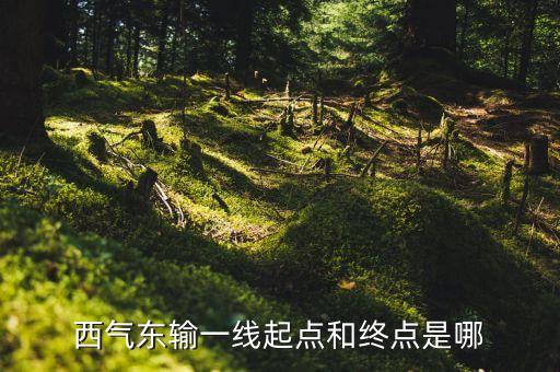 西氣東輸一線起點(diǎn)和終點(diǎn)是哪