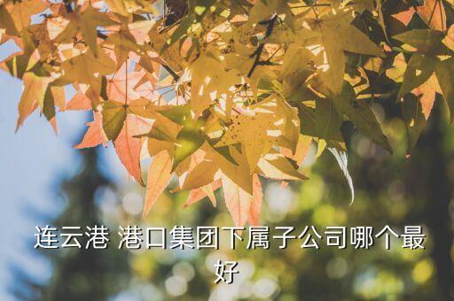  連云港 港口集團(tuán)下屬子公司哪個(gè)最好