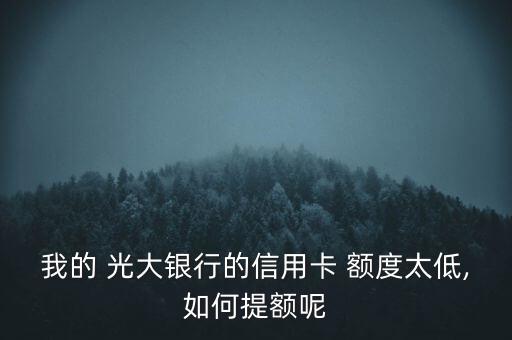 我的 光大銀行的信用卡 額度太低,如何提額呢