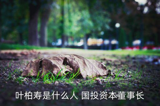 葉柏壽是什么人 國(guó)投資本董事長(zhǎng)