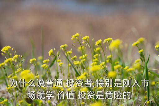 為什么說普通 投資者,特別是剛?cè)胧袌?chǎng)就學(xué) 價(jià)值 投資是危險(xiǎn)的