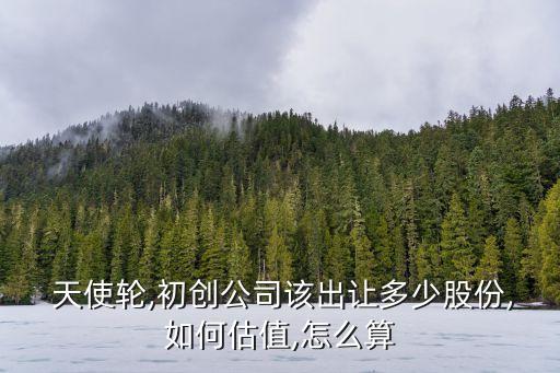  天使輪,初創(chuàng)公司該出讓多少股份,如何估值,怎么算